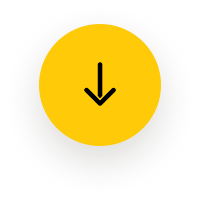 Icon arrow bottom